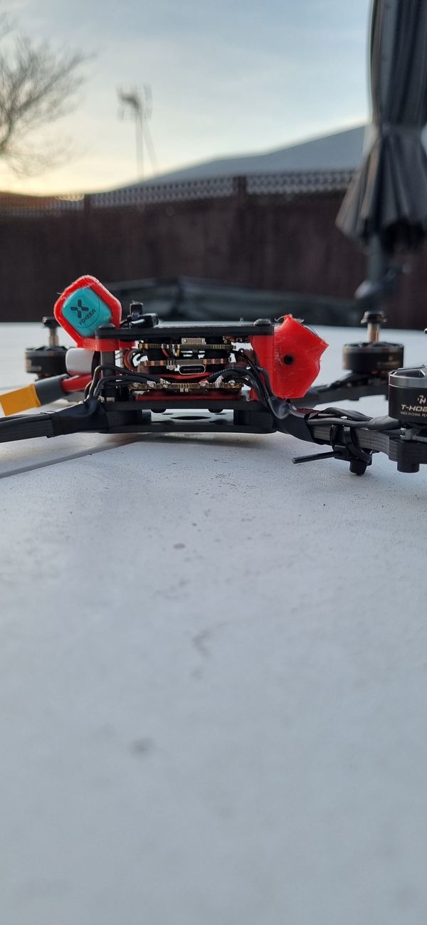 Kiwi's build
